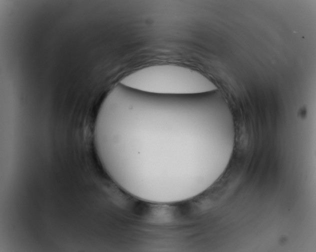 X0000103410226200809120956