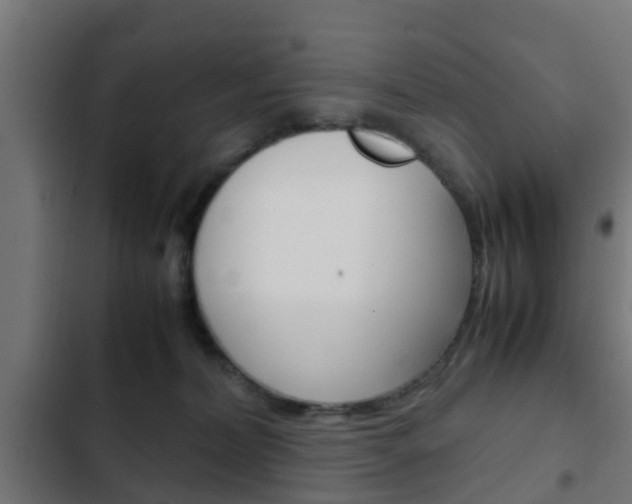 X0000103410228200809120956