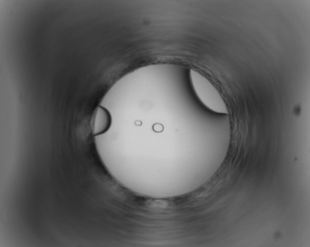 X0000103410230200809120956