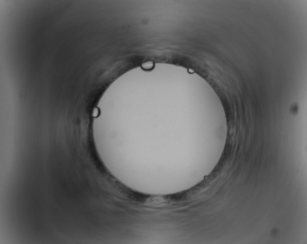 X0000103410231200809120956