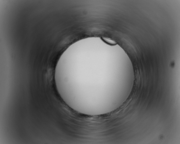 X0000103410232200809120956