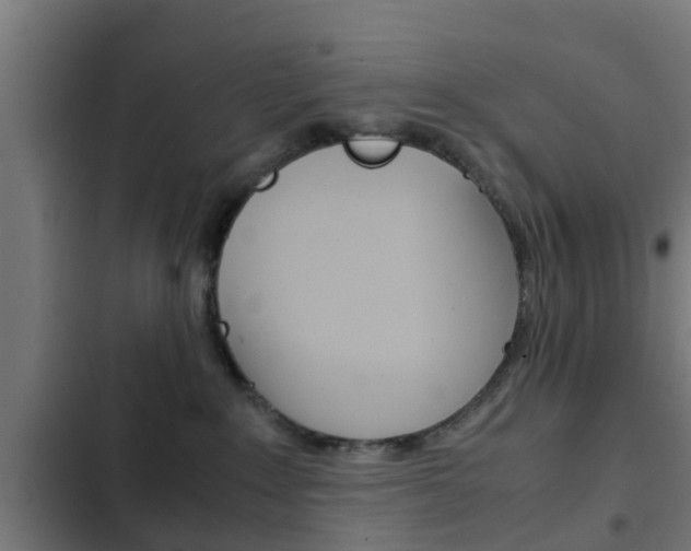 X0000103410235200809120956