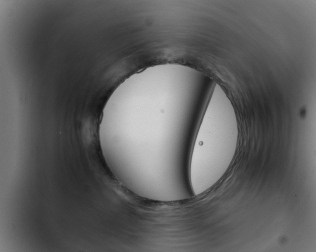 X0000103410236200809120956