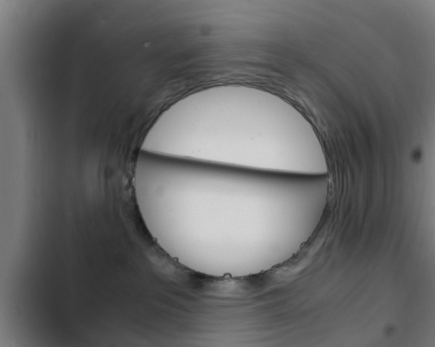 X0000103410237200809120956