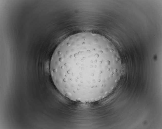X0000103410238200809120956