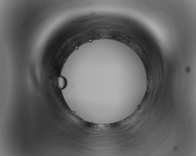 X0000103410239200809120956