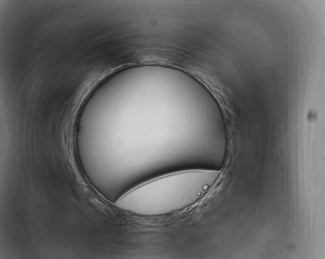 X0000103410241200809120955