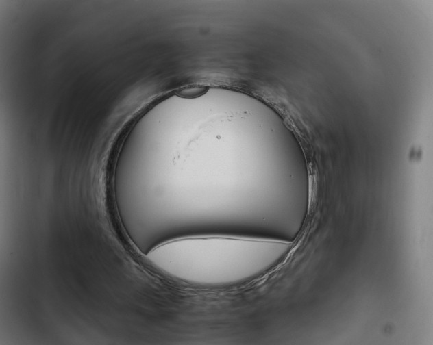 X0000103410243200809120955