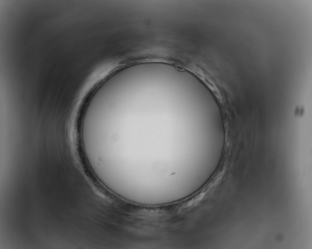 X0000103410245200809120955
