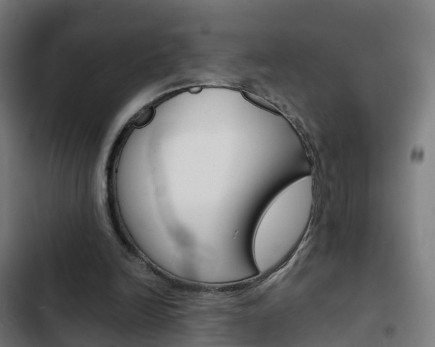 X0000103410246200809120955