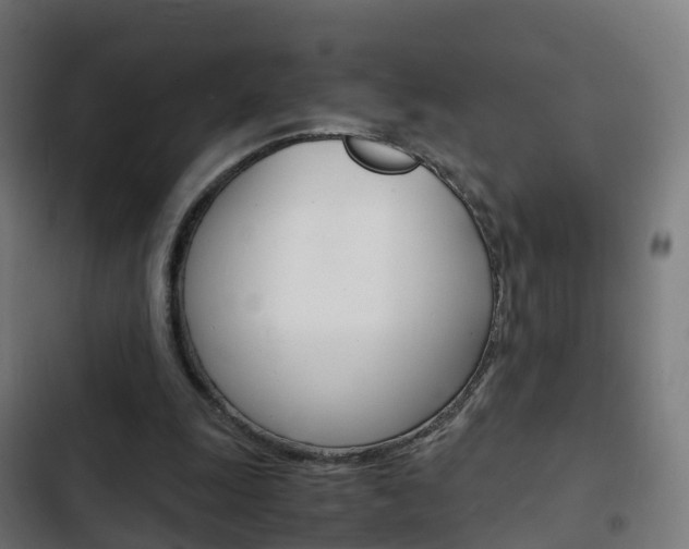 X0000103410247200809120955