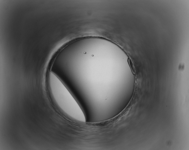 X0000103410248200809120955