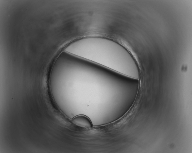 X0000103410249200809120955