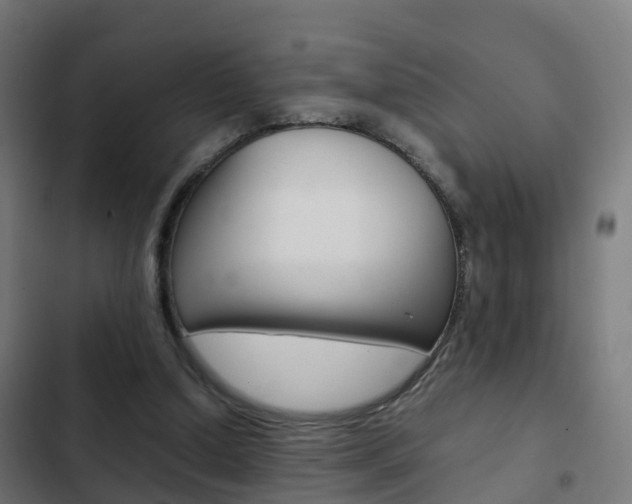 X0000103410250200809120955
