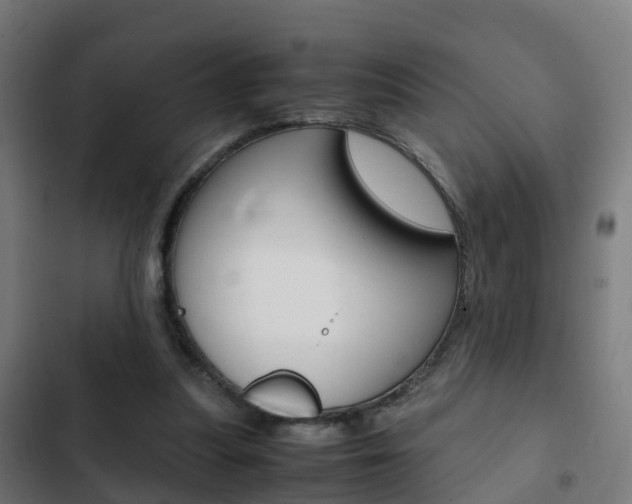 X0000103410251200809120955