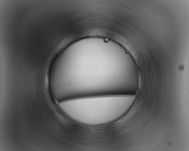 X0000103410253200809120955