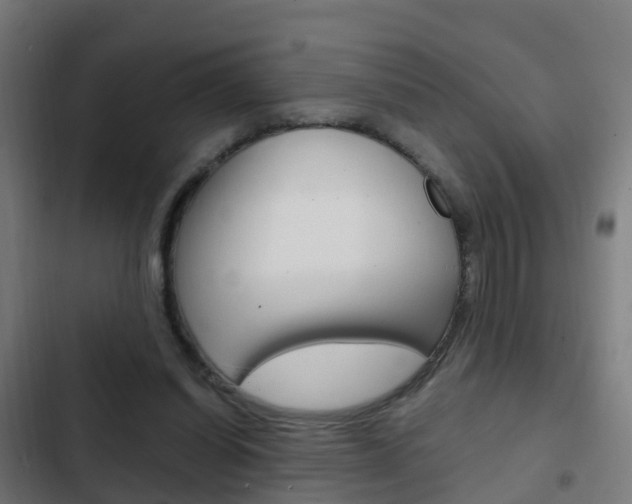 X0000103410254200809120955
