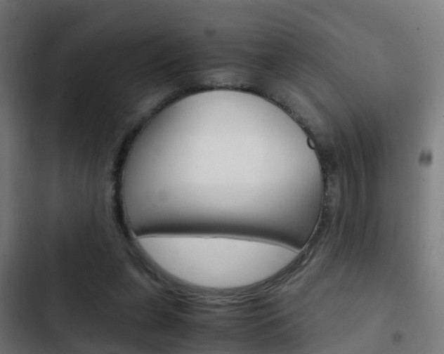 X0000103410255200809120955