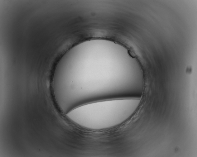 X0000103410257200809120955