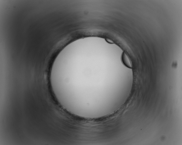 X0000103410258200809120955
