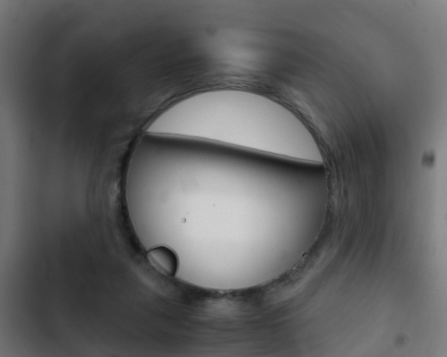 X0000103410259200809120955