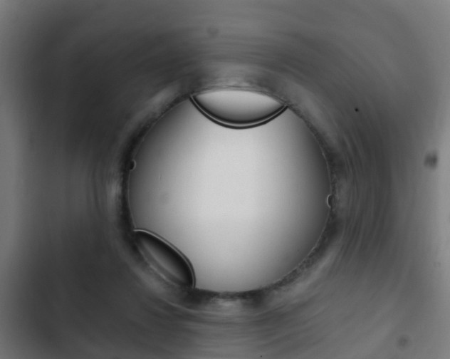 X0000103410260200809120955