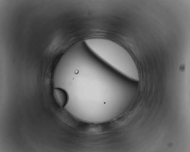 X0000103410263200809120955