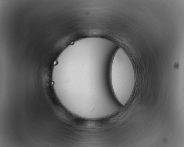 X0000103410264200809120955