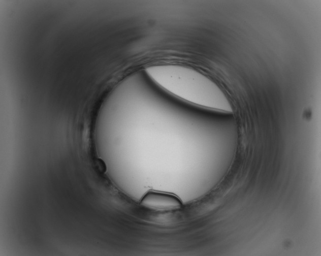 X0000103410267200809120956