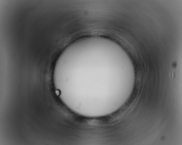 X0000103410268200809120956