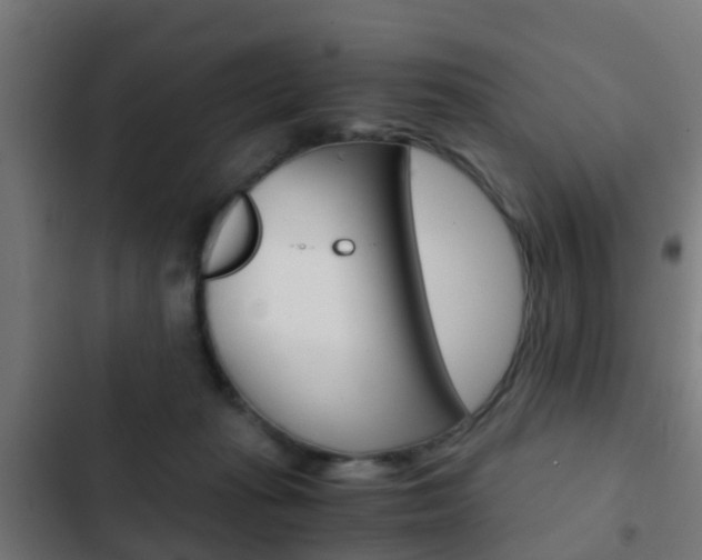 X0000103410269200809120956