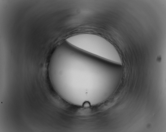 X0000103410271200809120956