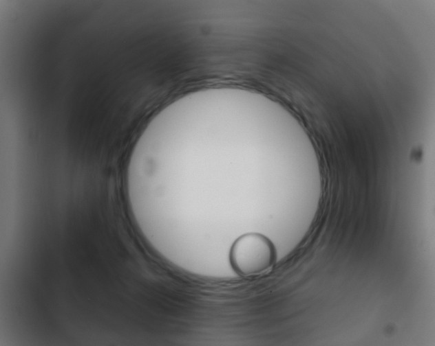 X0000103410272200809120956