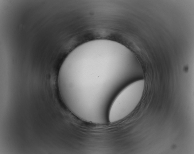 X0000103410274200809120956