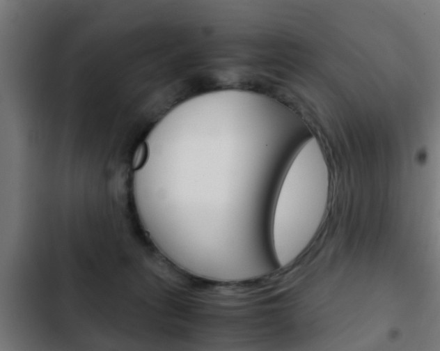 X0000103410275200809120956