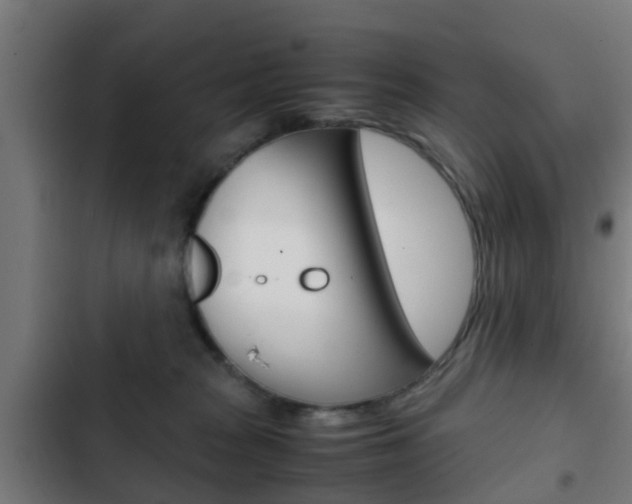 X0000103410277200809120956