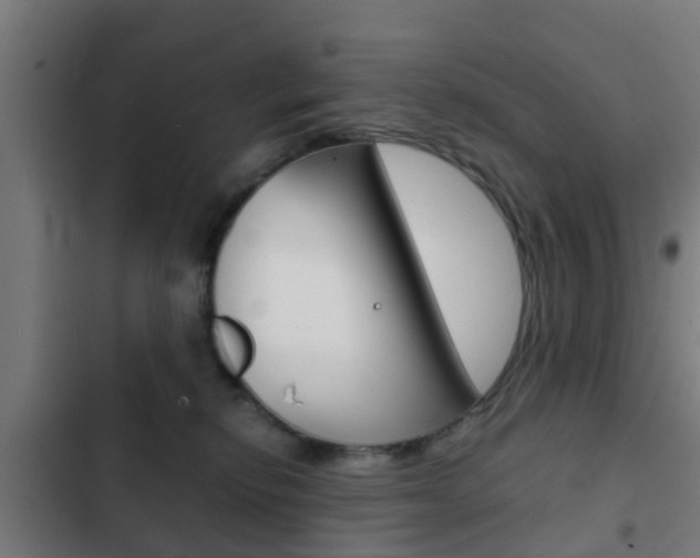 X0000103410278200809120956
