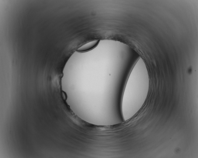 X0000103410286200809120956