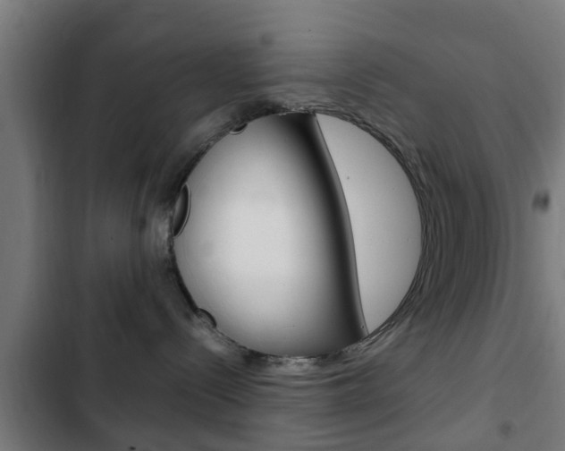 X0000103410288200809120956