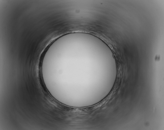 X0000103410290200809120955