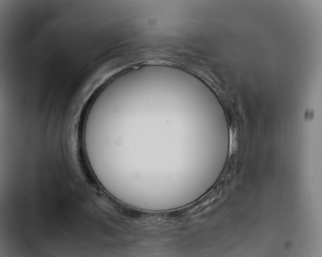 X0000103410291200809120955