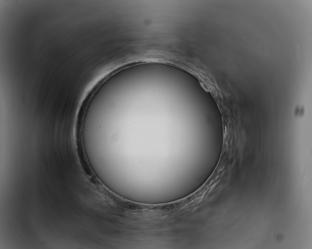 X0000103410292200809120955