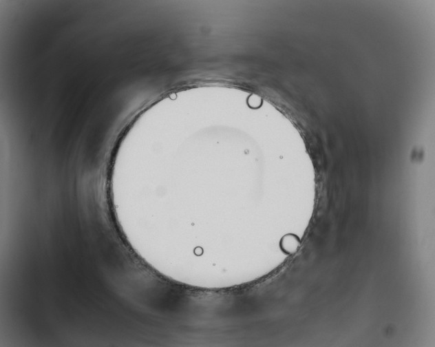X0000103410293200809120955