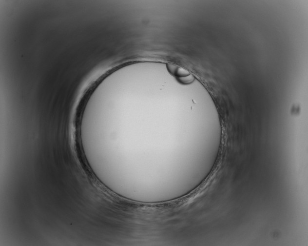 X0000103410294200809120955