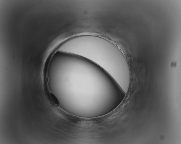 X0000103410296200809120955