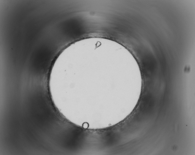 X0000103410297200809120955