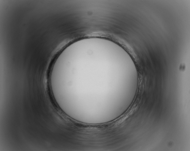 X0000103410298200809120955