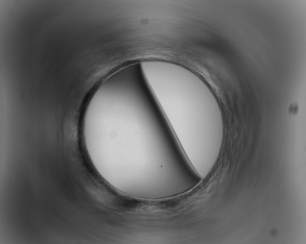 X0000103410299200809120955