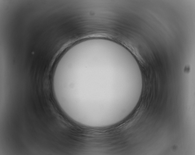 X0000103410300200809120955