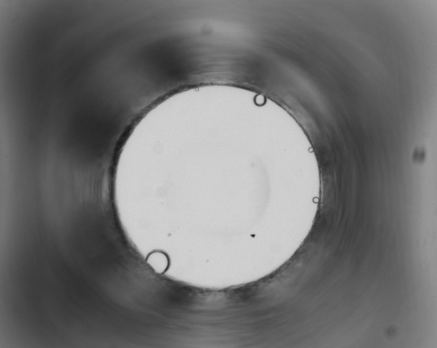 X0000103410301200809120955